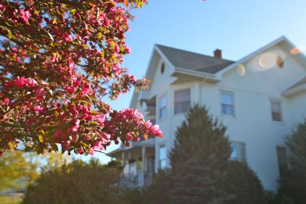 Twin Peaks B&B Mindemoya 外观 照片